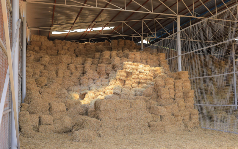 Nshaara  Hay Barns: Each with a storage capcity upto 30,000 bales