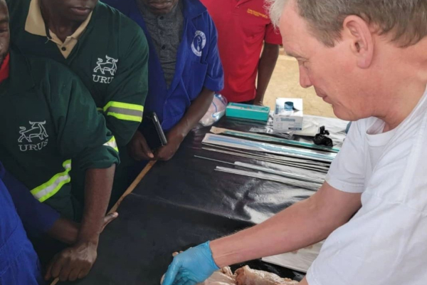 NAGRC&DB Enhances Livestock Productivity Through Three Transformative Trainings